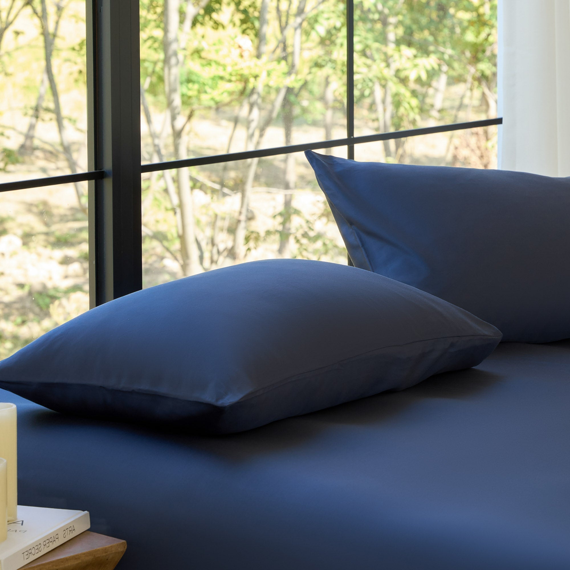 AiryWeight Eucalyptus Pillowcase Set