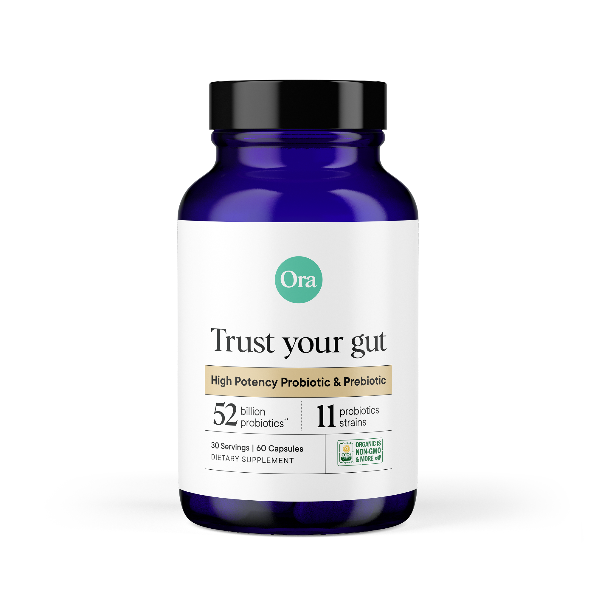 High Potency Probiotic