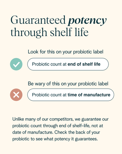 High Potency Probiotic