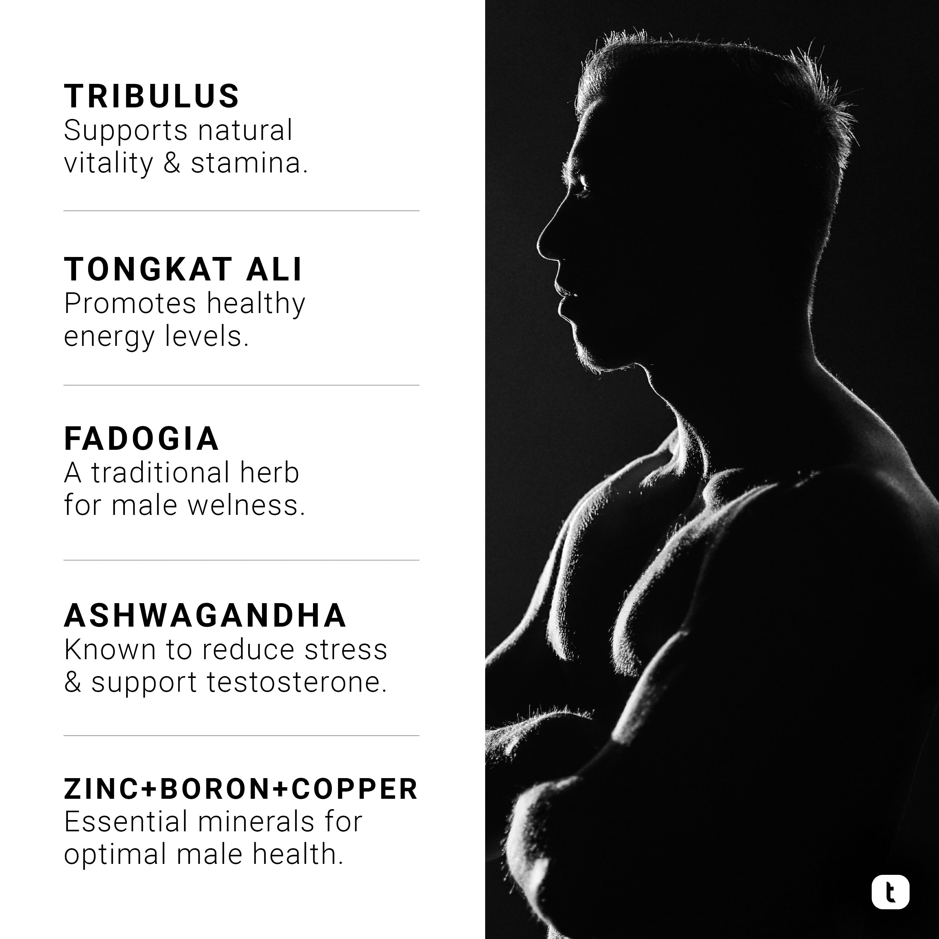 Testosterone Support
