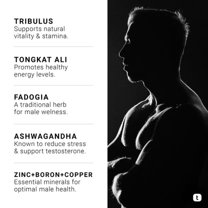 Testosterone Support