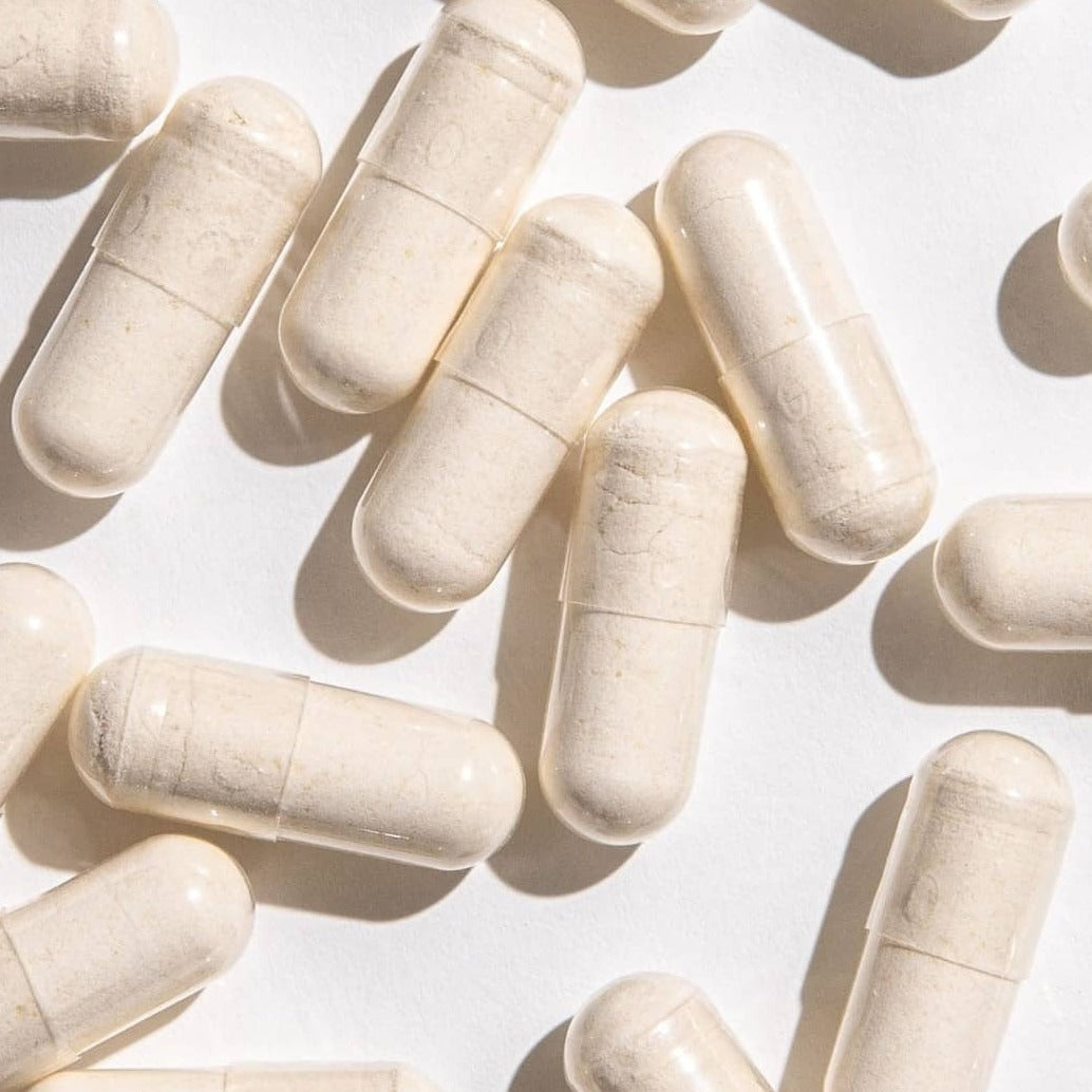 High Potency Probiotic