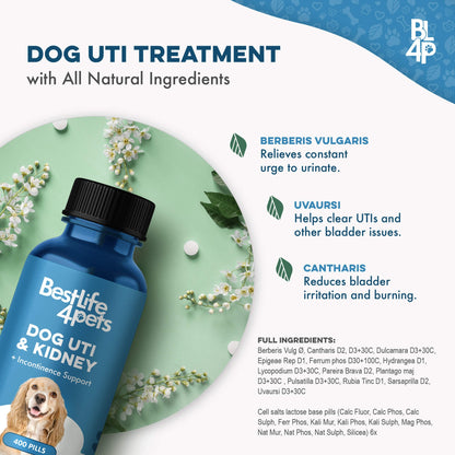 Dog UTI & Kidney Support by BestLife4Pets