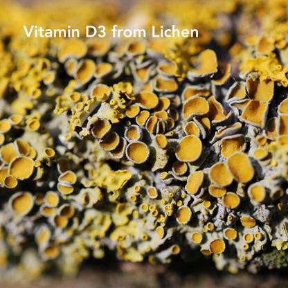 Plant-based Vitamin D Tablets