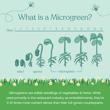 True Littles MicroVeggies™