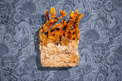 Ahara Mushrooms Reishi Capsules by Farm2Me