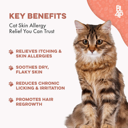 Healthy Skin for Cats - Cat Miliary Dermatitis, Skin Allergy & Cat Scabs Remedy by BestLife4Pets