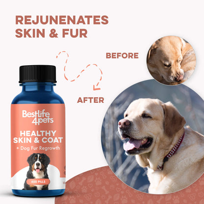Healthy Skin & Coat for Dogs by BestLife4Pets