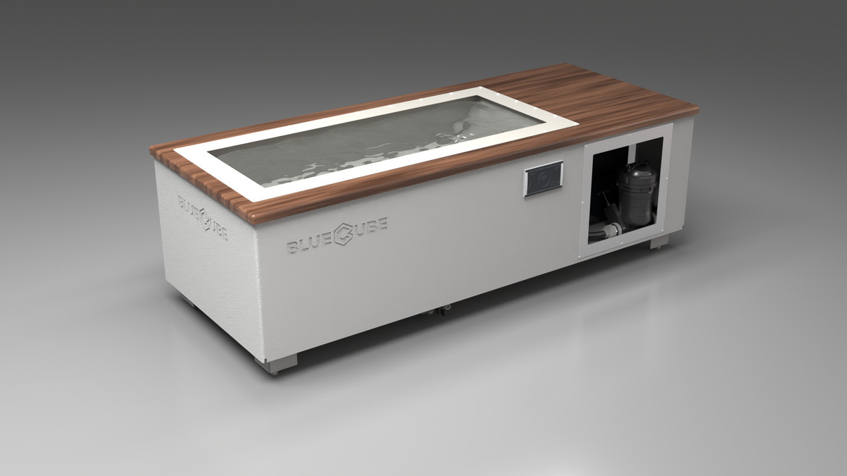 C2 Cold Plunge Tub