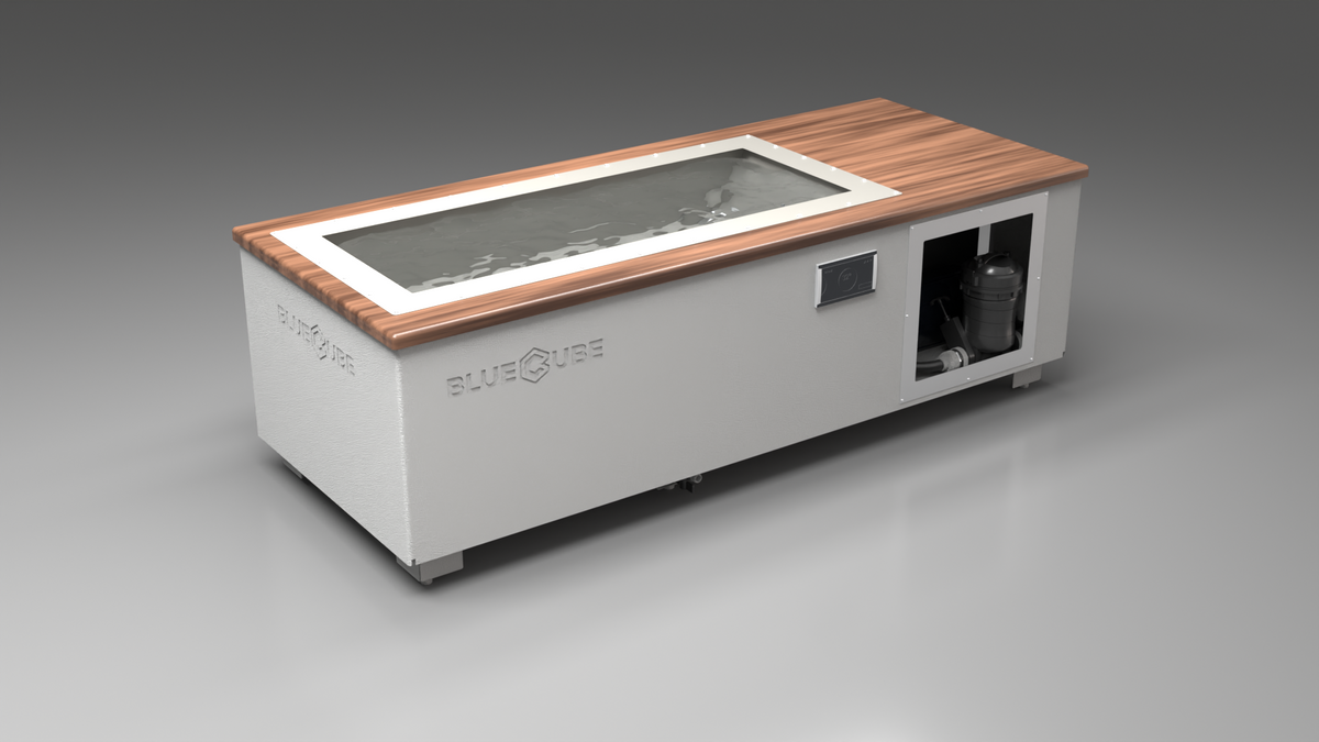 C2 Cold Plunge Tub