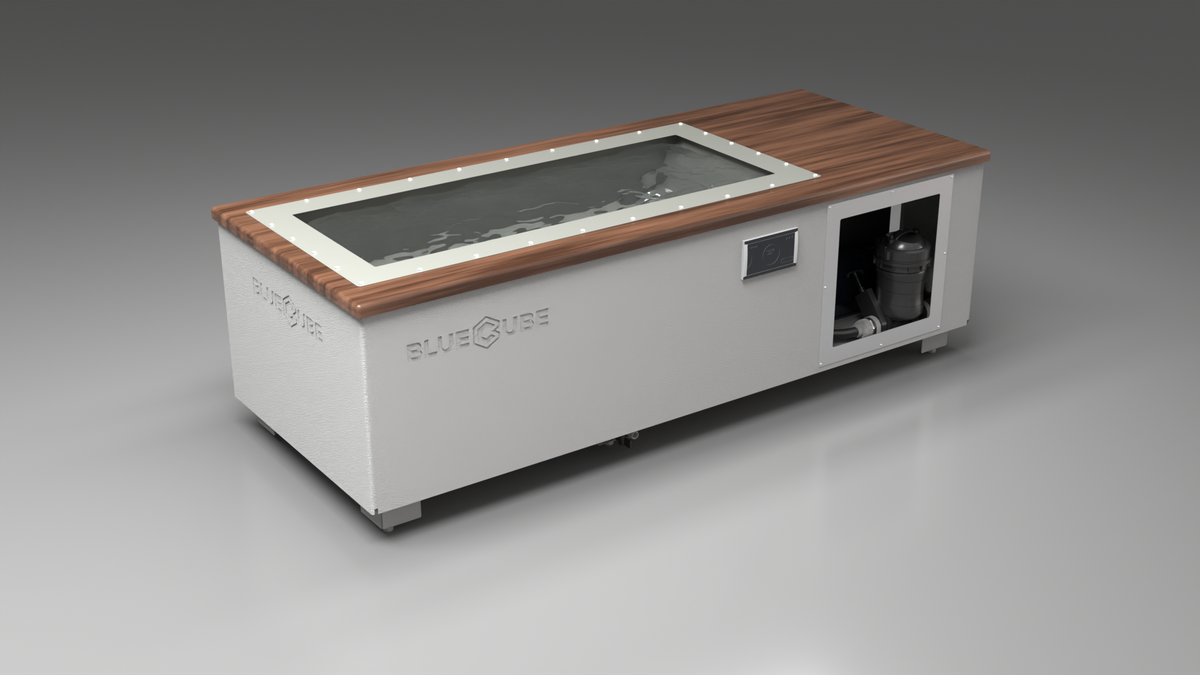 C2 Cold Plunge Tub