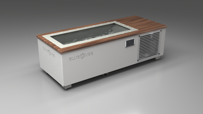 C2 Cold Plunge Tub