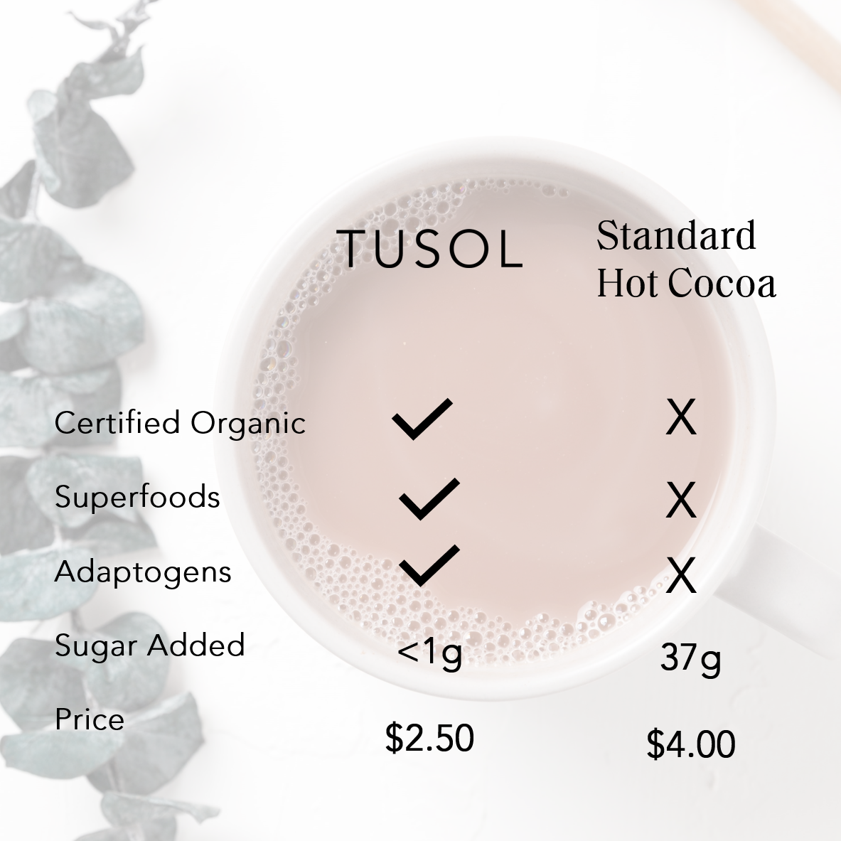 TUSOL Organic Latte Kit (28 Lattes) by TUSOL Wellness