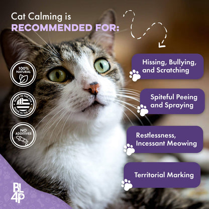 Peaceful Paws Cat Aggression & Anxiety Management for Stress, Spraying, Territorial Behavior by BestLife4Pets
