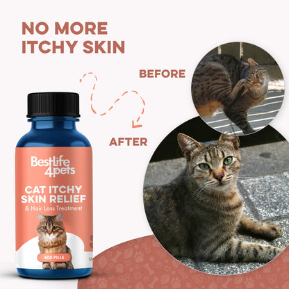 Healthy Skin for Cats - Cat Miliary Dermatitis, Skin Allergy & Cat Scabs Remedy by BestLife4Pets