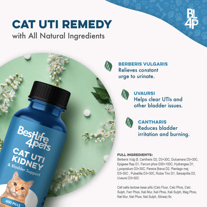 Natural Cat UTI & Kidney Remedy - Reduces Infections and Supports Optimal Bladder Function by BestLife4Pets