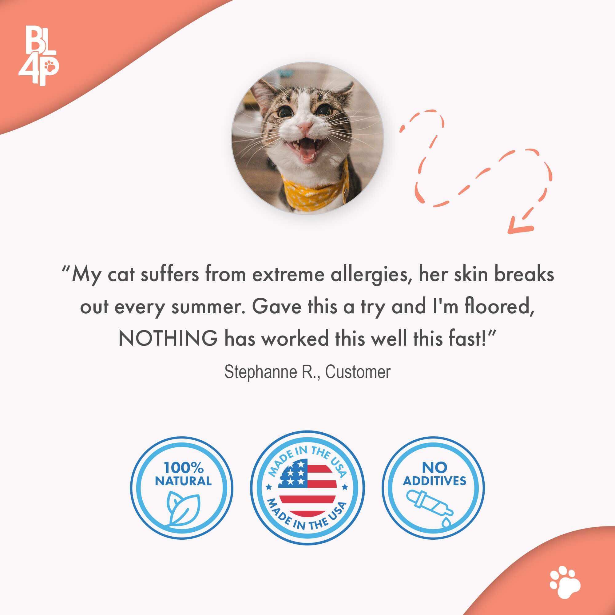 Healthy Skin for Cats - Cat Miliary Dermatitis, Skin Allergy & Cat Scabs Remedy by BestLife4Pets