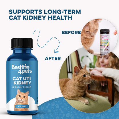 Natural Cat UTI & Kidney Remedy - Reduces Infections and Supports Optimal Bladder Function by BestLife4Pets