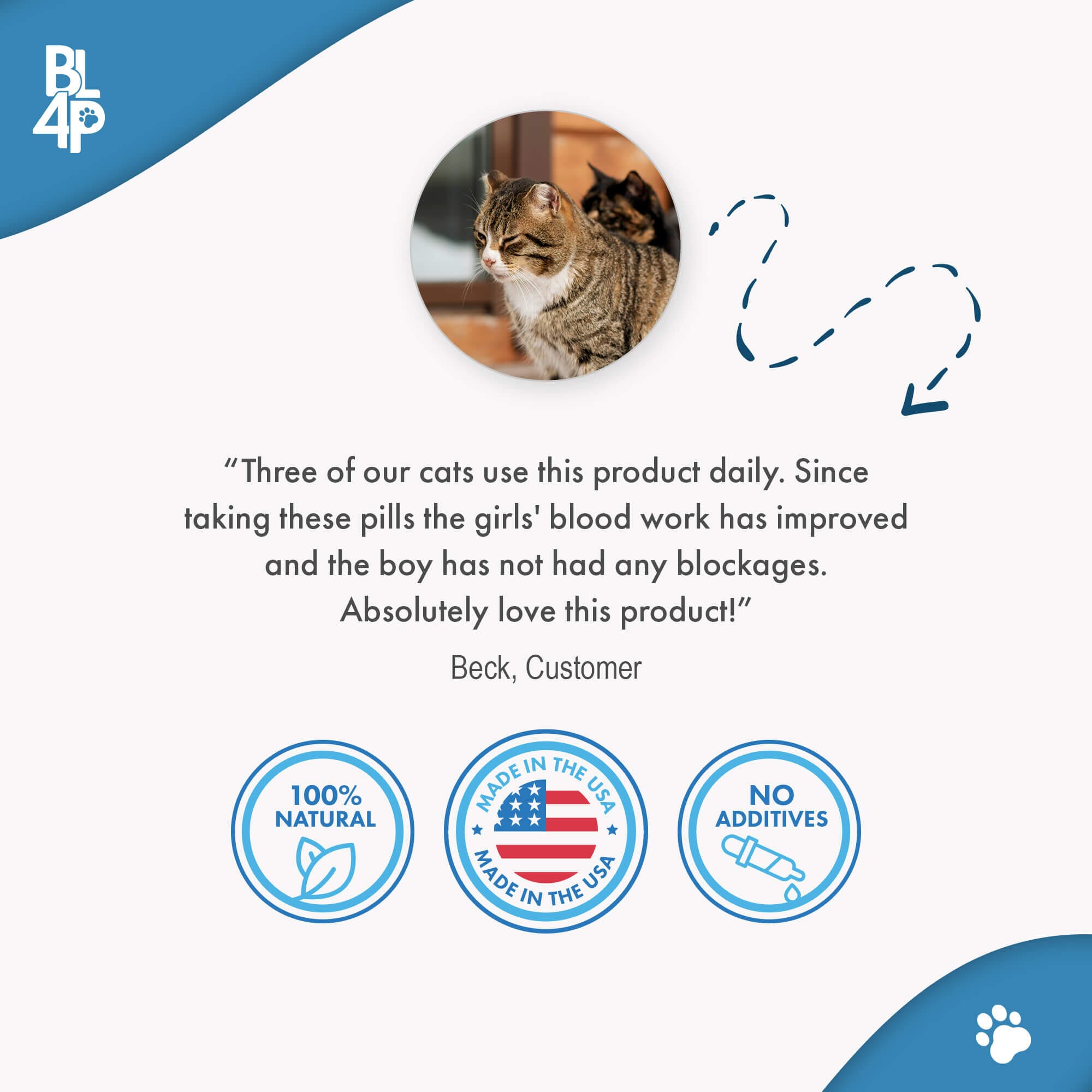 Natural Cat UTI & Kidney Remedy - Reduces Infections and Supports Optimal Bladder Function by BestLife4Pets