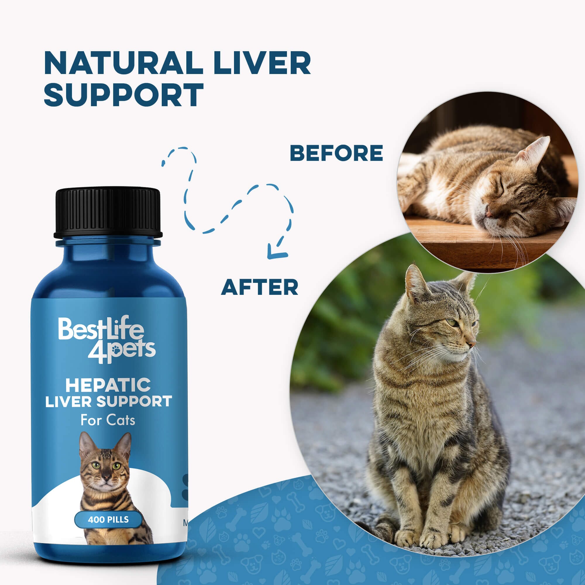Natural Hepatic Liver Support for Cats by BestLife4Pets