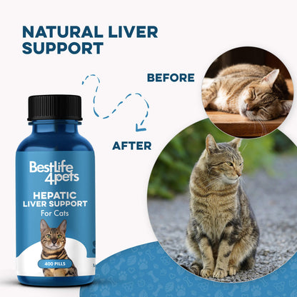 Natural Hepatic Liver Support for Cats by BestLife4Pets