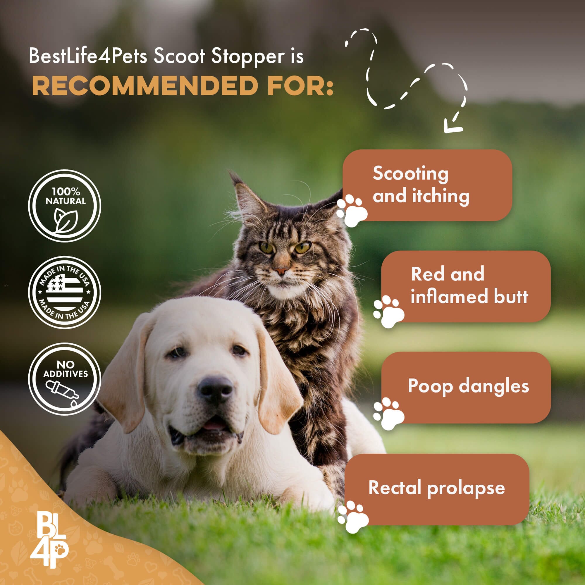 Scoot Stopper & Anal Gland Support for Dogs and Cats by BestLife4Pets