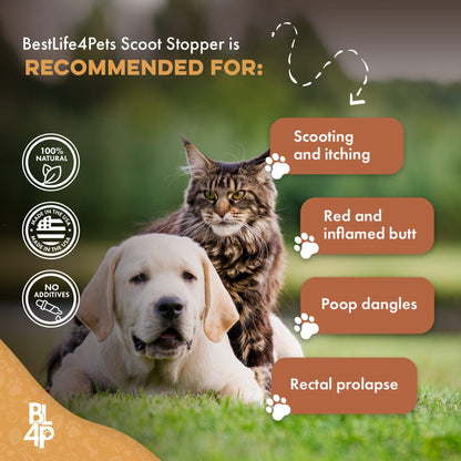 Scoot Stopper & Anal Gland Support for Dogs and Cats by BestLife4Pets