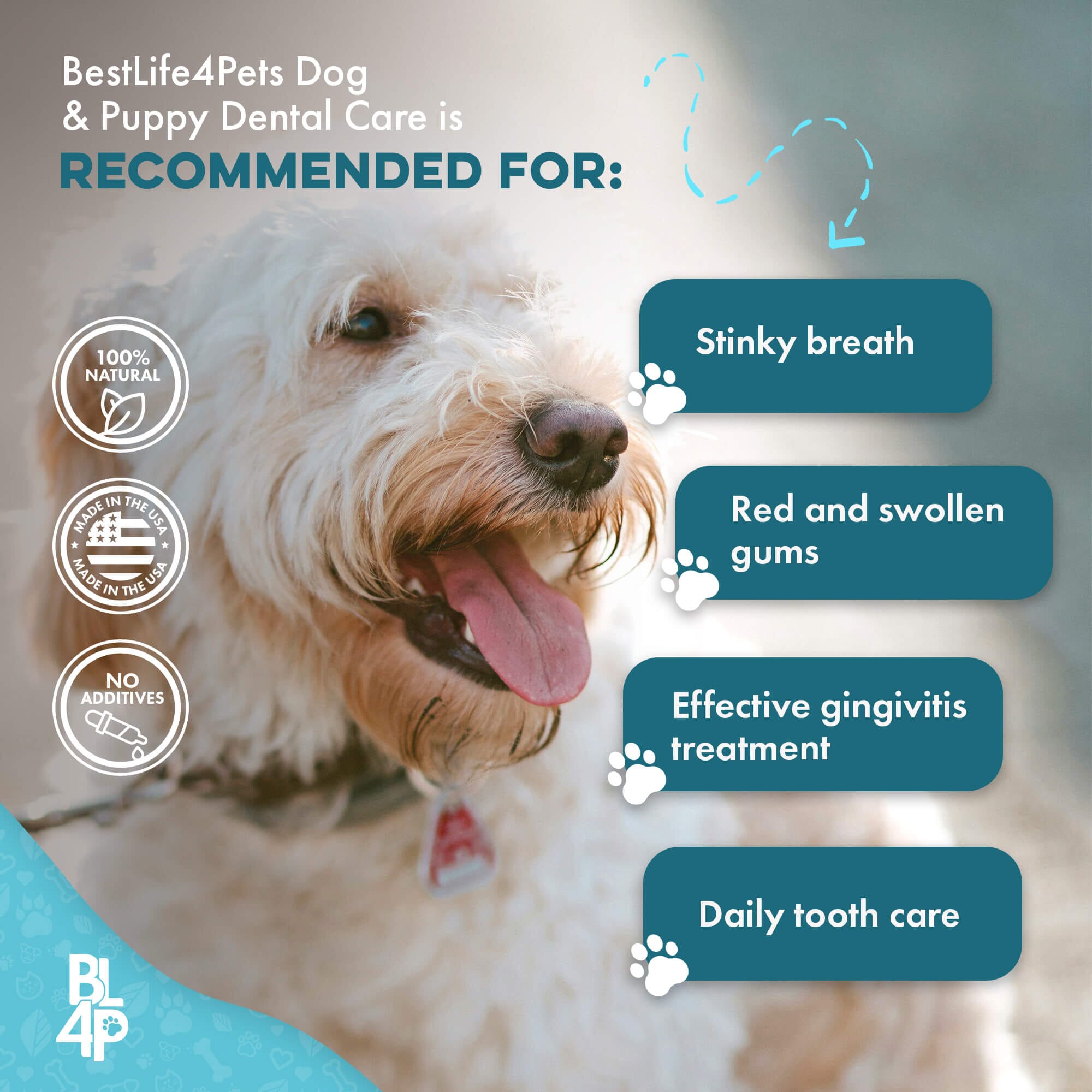 Dog Bad Breath & Dental Care Solution by BestLife4Pets
