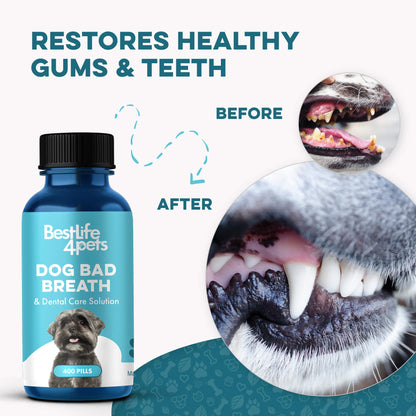Dog Bad Breath & Dental Care Solution by BestLife4Pets