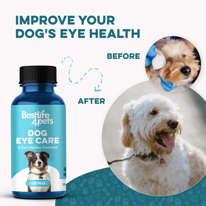 Natural Dog Eye Infection Treatment  - Helps Conjunctivitis, Watery Eyes, Red Eye, and General Eye Care by BestLife4Pets