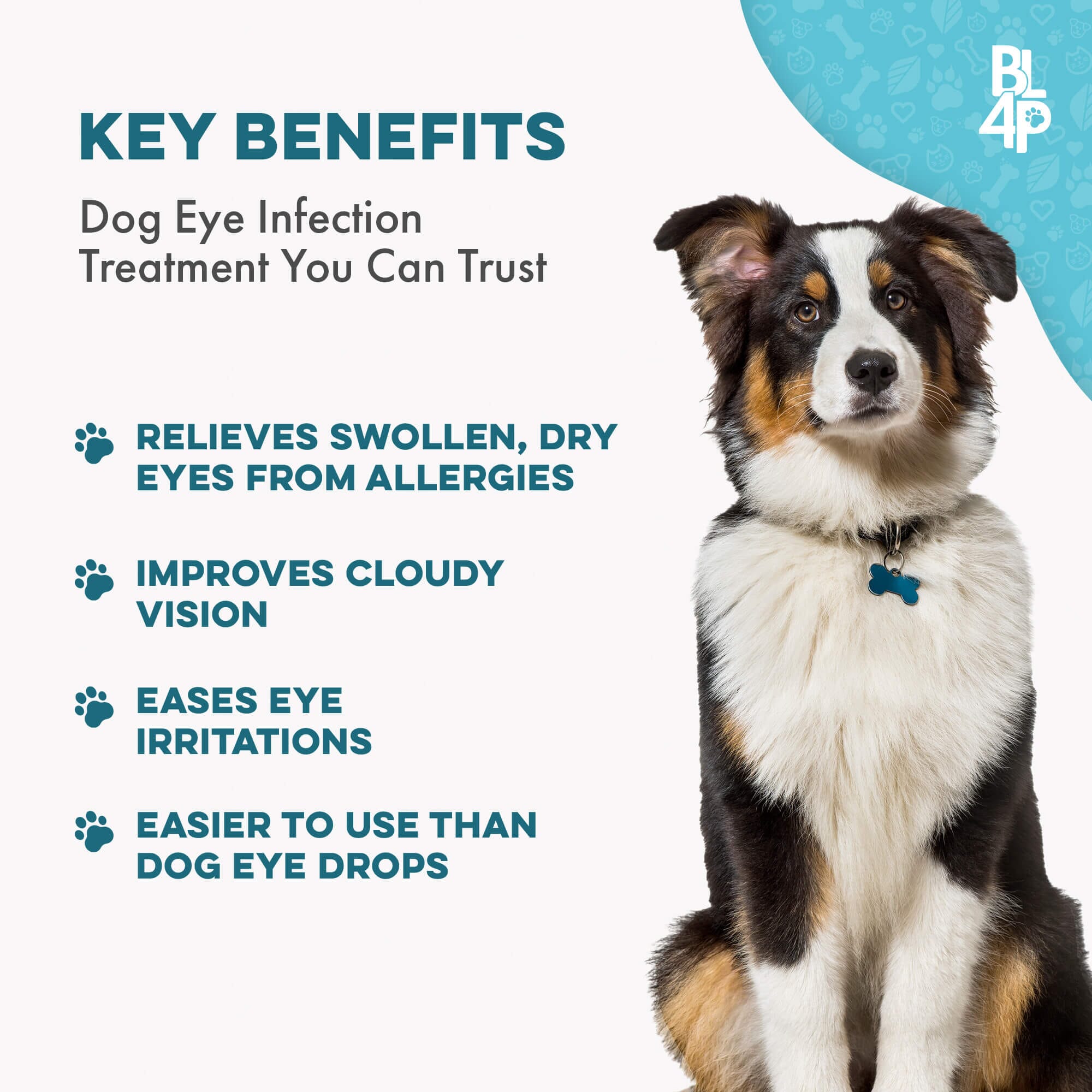 Natural Dog Eye Infection Treatment  - Helps Conjunctivitis, Watery Eyes, Red Eye, and General Eye Care by BestLife4Pets