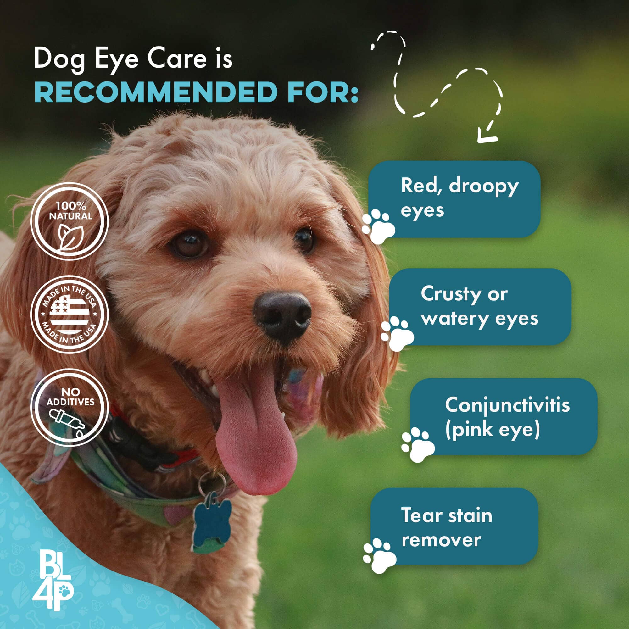 Natural Dog Eye Infection Treatment  - Helps Conjunctivitis, Watery Eyes, Red Eye, and General Eye Care by BestLife4Pets