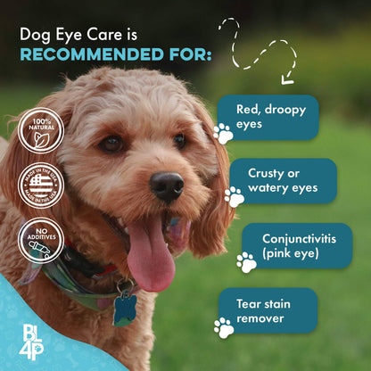 Natural Dog Eye Infection Treatment  - Helps Conjunctivitis, Watery Eyes, Red Eye, and General Eye Care by BestLife4Pets
