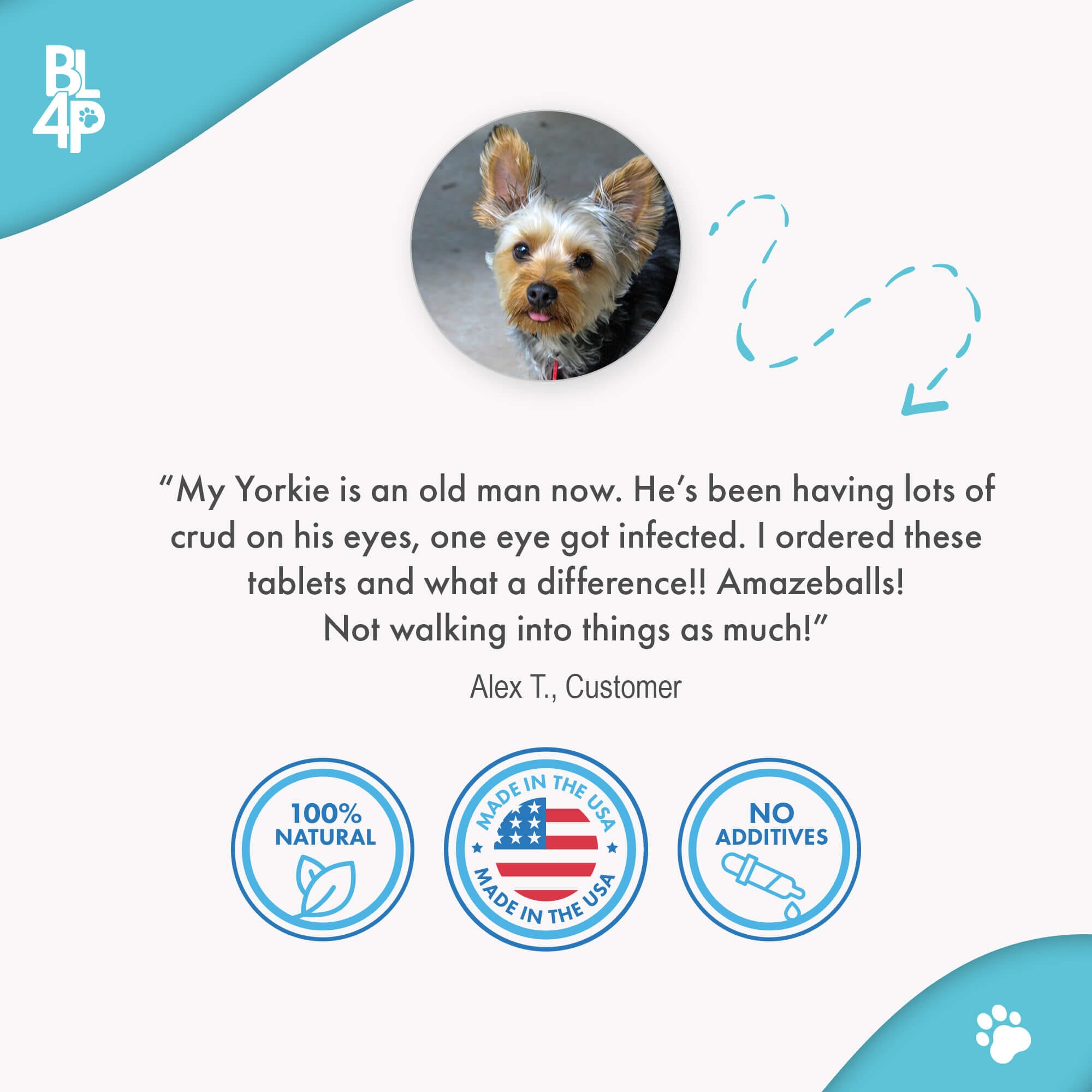 Natural Dog Eye Infection Treatment  - Helps Conjunctivitis, Watery Eyes, Red Eye, and General Eye Care by BestLife4Pets