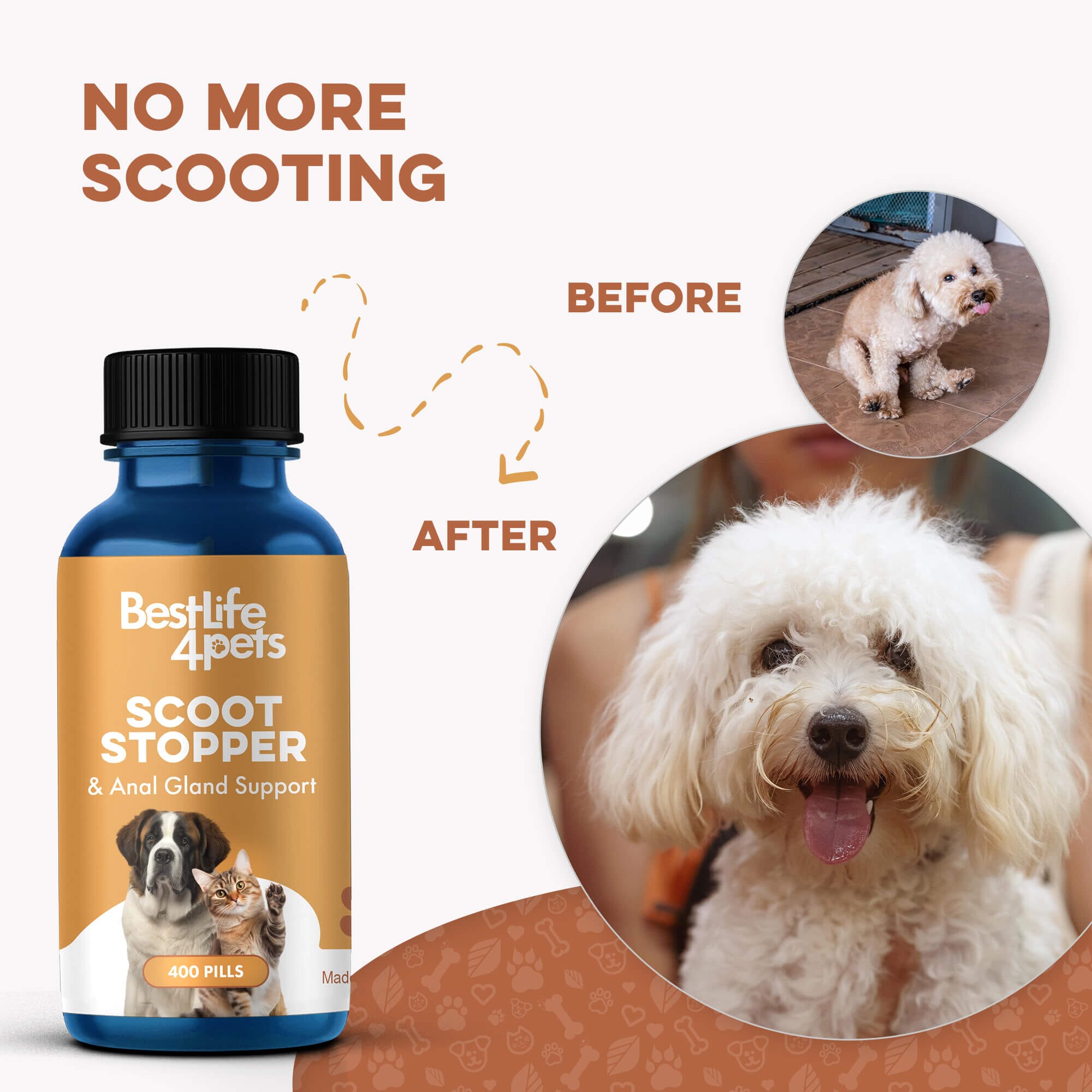 Scoot Stopper & Anal Gland Support for Dogs and Cats by BestLife4Pets