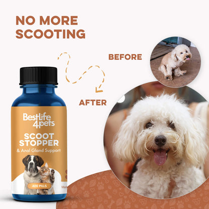 Scoot Stopper & Anal Gland Support for Dogs and Cats by BestLife4Pets