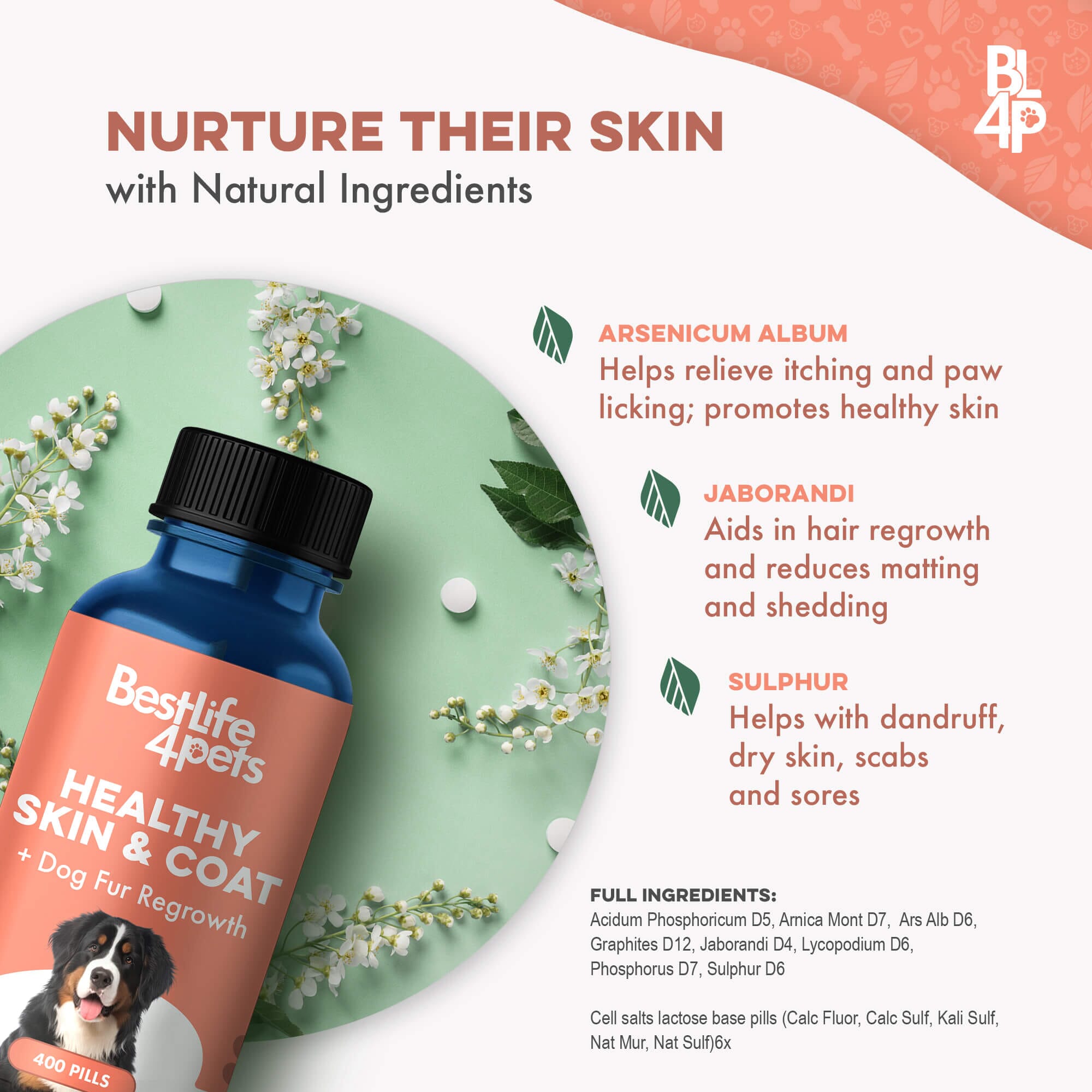 Healthy Skin & Coat for Dogs by BestLife4Pets