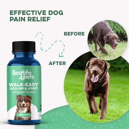 WALK-EASY™ Extra Strength Natural Pain Relief for Dogs - Helps Dog Joint Pain, Arthritis, ACL, Limping and More by BestLife4Pets