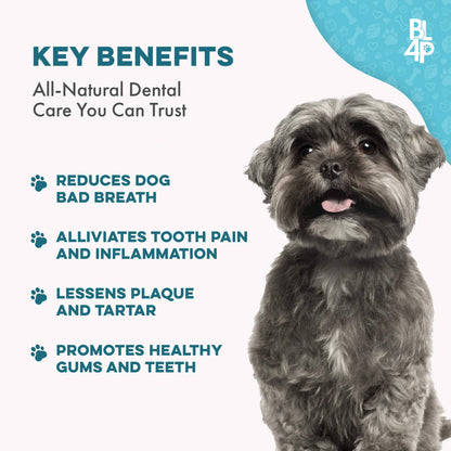 Dog Bad Breath & Dental Care Solution by BestLife4Pets
