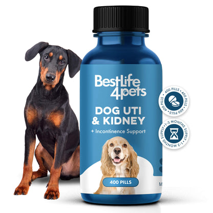 Dog UTI & Kidney Support by BestLife4Pets