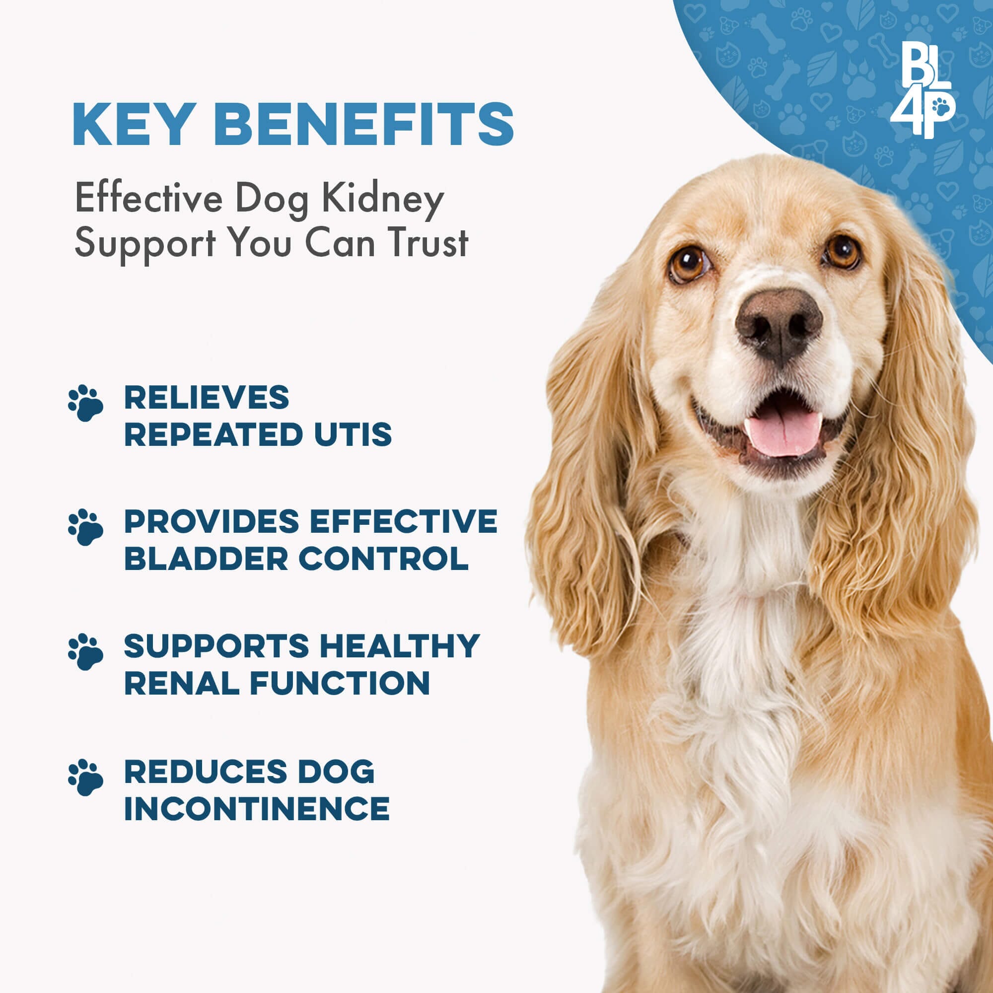 Dog UTI & Kidney Support by BestLife4Pets