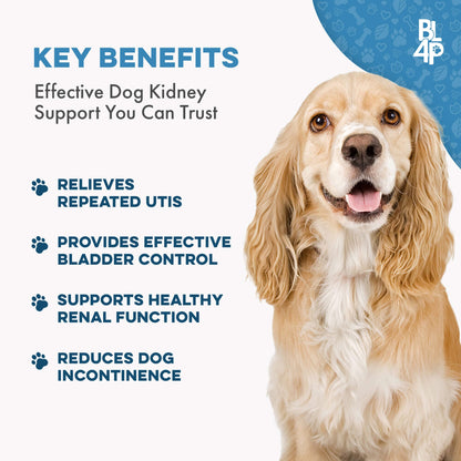 Dog UTI & Kidney Support by BestLife4Pets