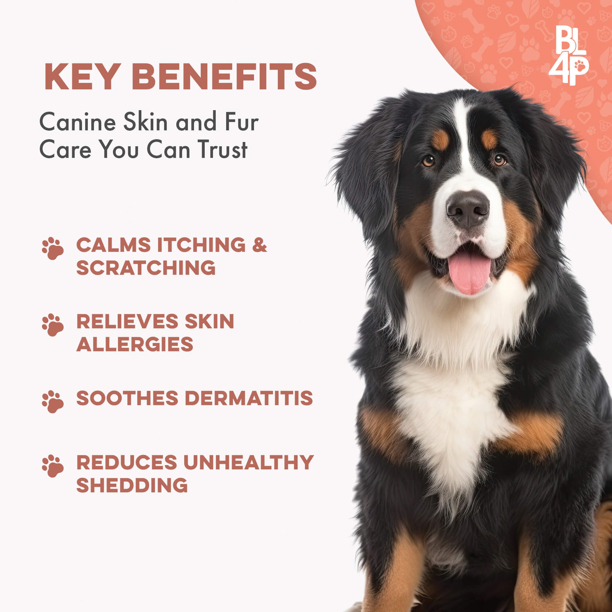 Healthy Skin & Coat for Dogs by BestLife4Pets