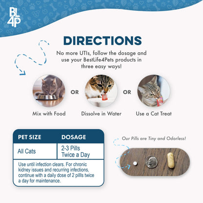 Natural Cat UTI & Kidney Remedy - Reduces Infections and Supports Optimal Bladder Function by BestLife4Pets