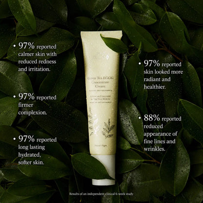 Green Tea EGCG Concentrate Cream