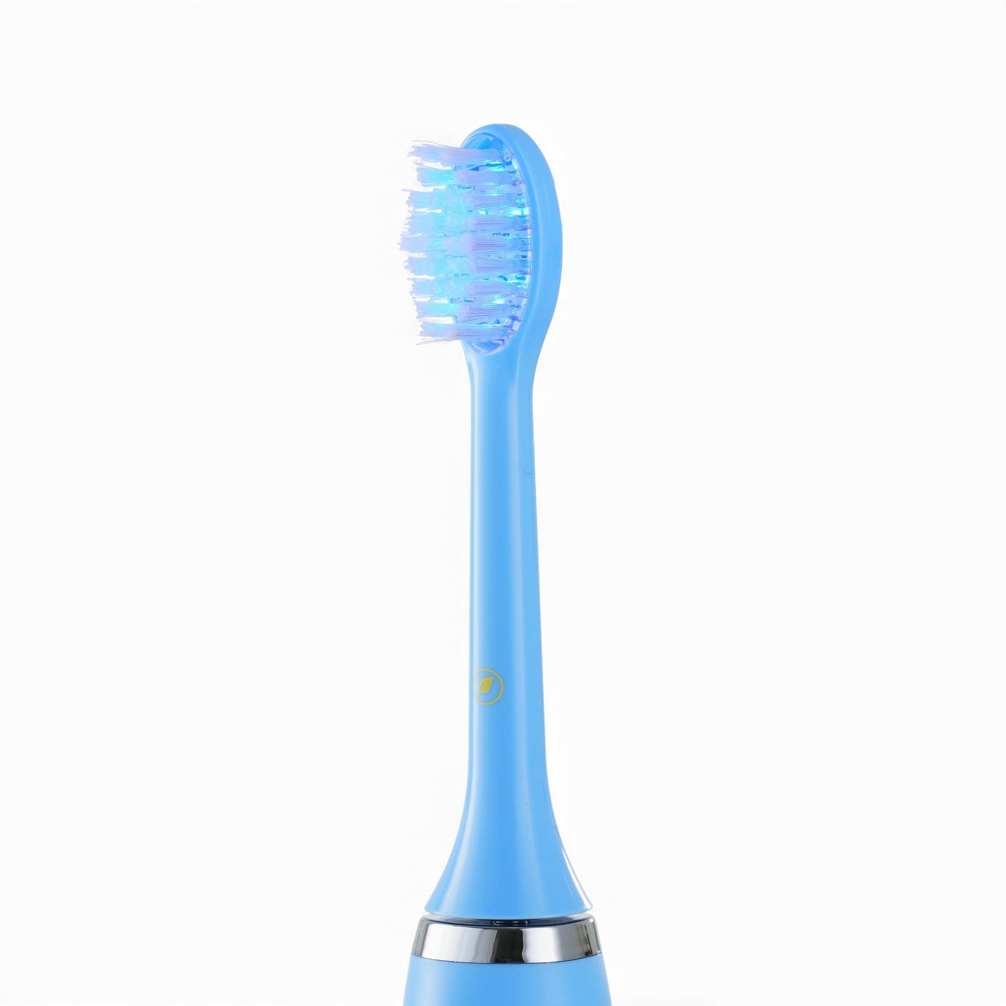 BlueRay Replacement Brush Head