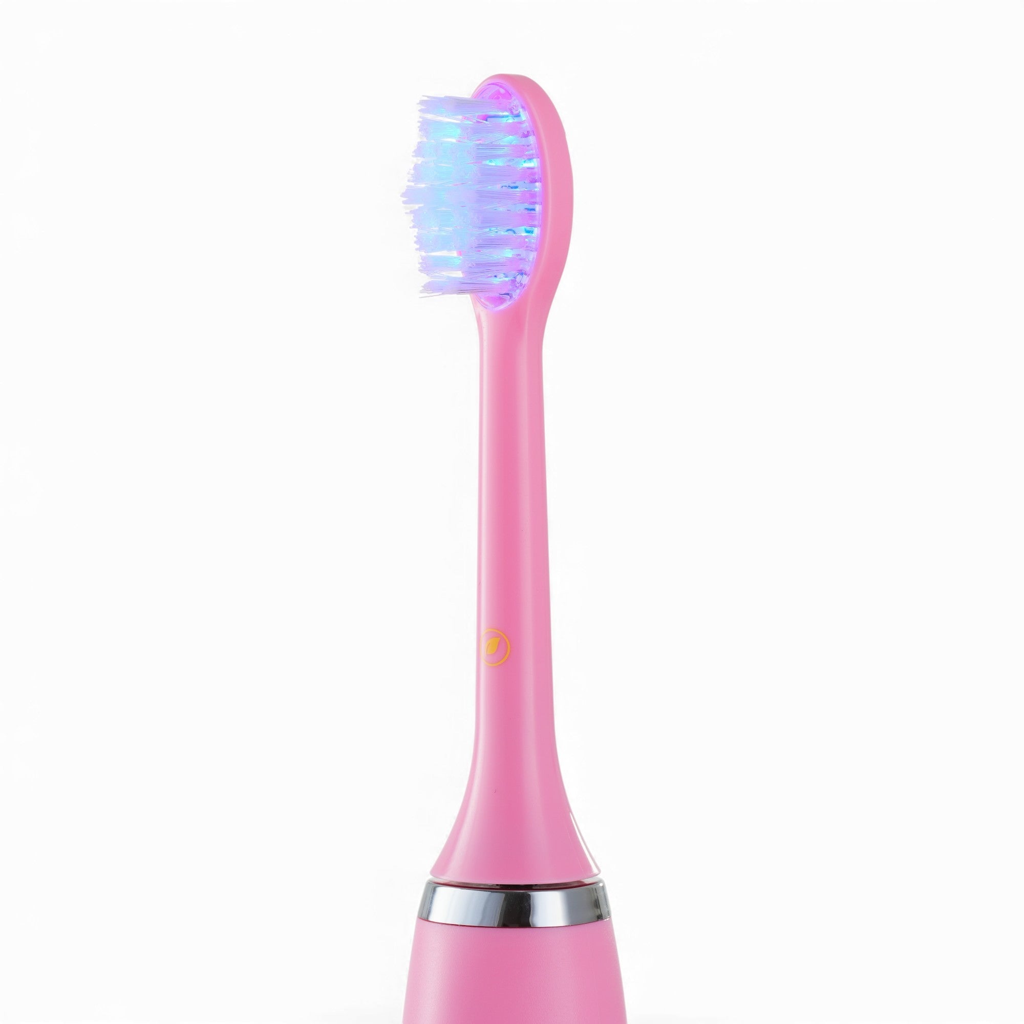 BlueRay Replacement Brush Head
