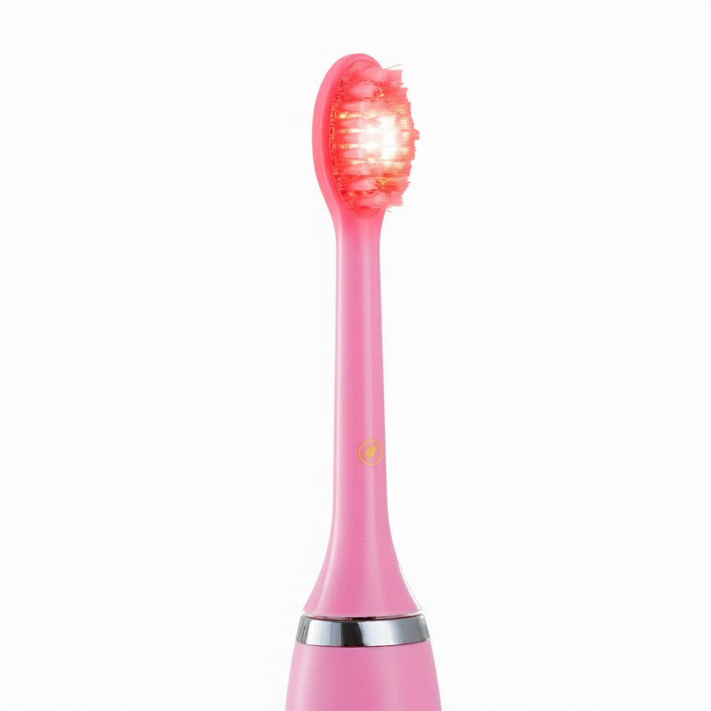 RedRay Replacement Brush Head