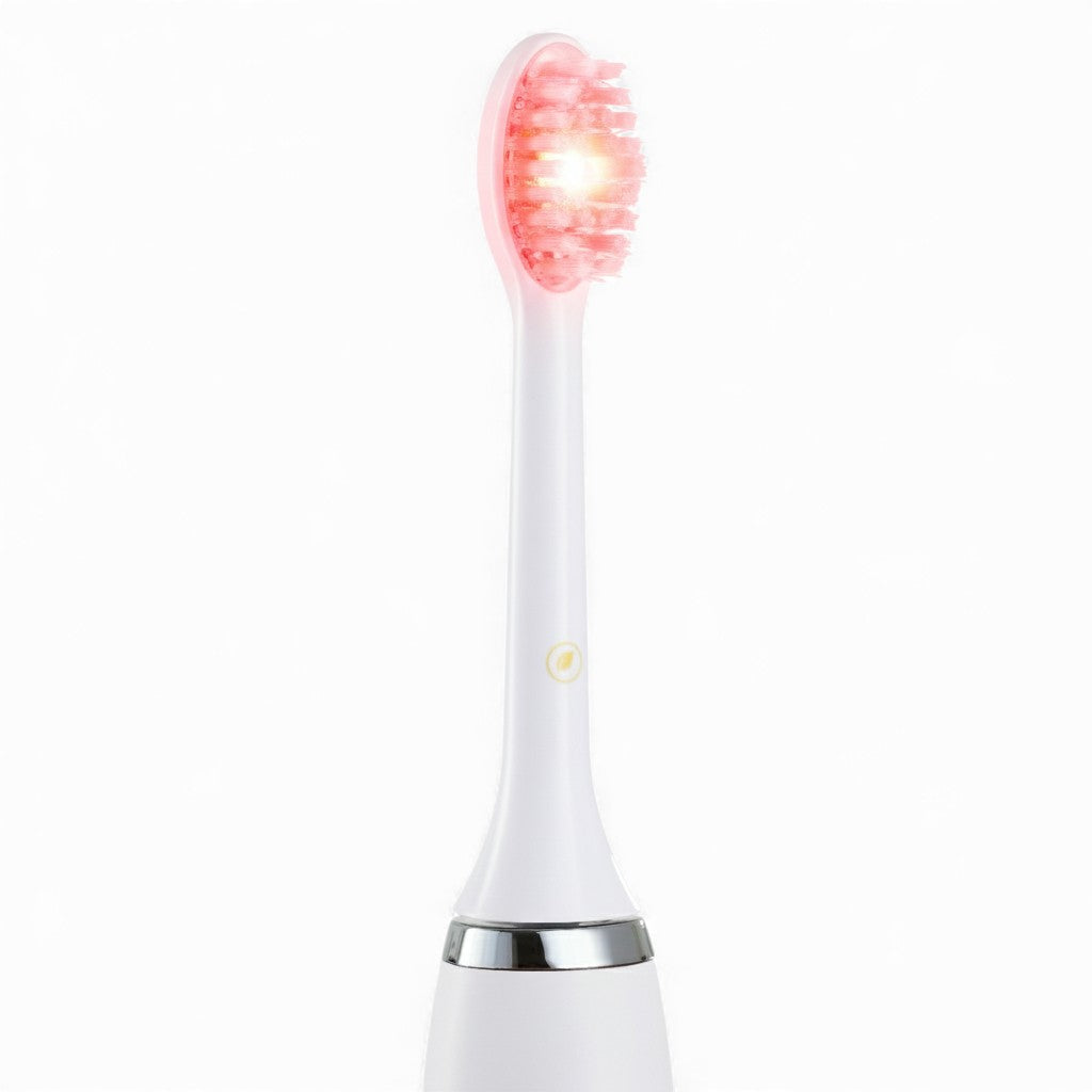 RedRay Replacement Brush Head