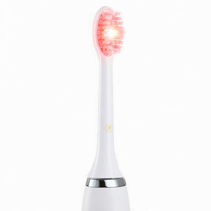RedRay Replacement Brush Head